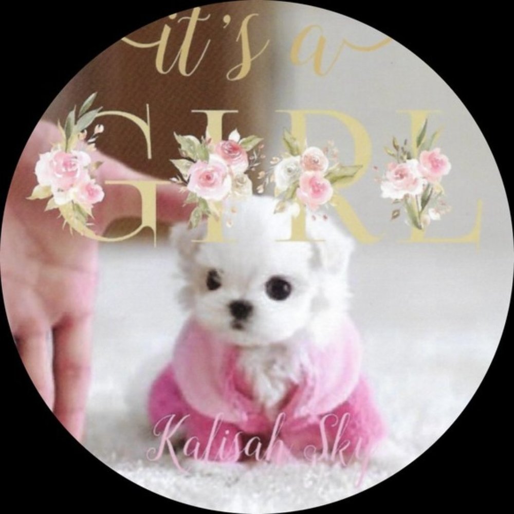 Meet your Posher, Kim